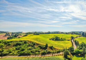 Top Beautiful Vineyards and Wineries to visit in Tuscany